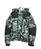 THE NORTH FACEザ ノース フェイス）の古着「Novelty Baltro Light Jacket」｜グリーン