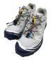 SALOMON（サロモン）の古着「XT-6 GTX」｜グレー