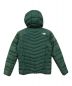 THE NORTH FACE (ザ ノース フェイス) THUNDER HOODIE グリーン サイズ:S：9000円