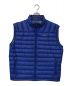 Patagonia（パタゴニア）の古着「Down Sweater Vest」｜ブルー