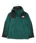 THE NORTH FACE（ザ ノース フェイス）の古着「MOUNTAIN JACKET」｜グリーン