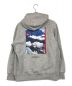 THE NORTH FACE (ザ ノース フェイス) 30th Nuptse Sweat Hoodie/ヌプシスウェットフーディ グレー サイズ:S：8000円