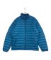 Patagonia（パタゴニア）の古着「Down Sweater」｜ブルー