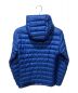 Patagonia (パタゴニア) Down Sweater Hoody 800FP ブルー サイズ:XS：16000円