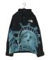 THE NORTH FACE（ザ ノース フェイス）の古着「Statue Of Liberty Mountain Jacket」｜ブラック