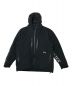 stussy（ステューシー）の古着「Gore-Tex Products Down Parka」｜ブラック