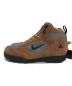 NIKE ACG (ナイキエージーシー) Torre Mid 