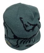 ARC'TERYXアークテリクス）の古着「BIRD HED TOQUE」｜グリーン