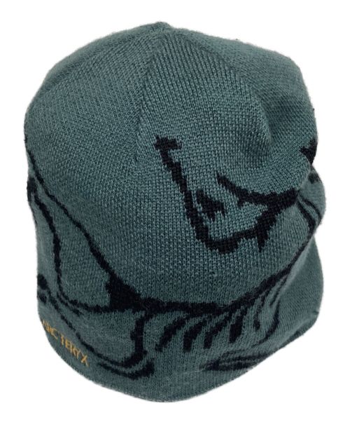 ARC'TERYX（アークテリクス）ARC'TERYX (アークテリクス) BIRD HED TOQUE グリーンの古着・服飾アイテム