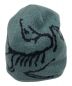 ARC'TERYX (アークテリクス) BIRD HED TOQUE グリーン：8000円