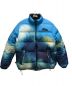 中古・古着 FIRST DOWN (ファーストダウン) MOUNTAIN PAINTING REVERSIBLE DOWN ブルー サイズ:Ⅼ：14000円