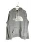 THE NORTH FACE（ザ ノース フェイス）の古着「COLOR HEATHERD SWEAT HOODIE」｜グレー