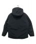 Jack Wolfskin (ジャック ウルフスキン) JP ARCTRAILER DOWN  JKT ブラック サイズ:L 未使用品：25800円