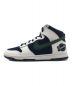 NIKE (ナイキ) DUNK HI PRM EMB/ハイカットスニーカー COLLEGE NAVY/NOBLE G サイズ:US11：9000円