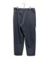 DESCENTE ALLTERRAIN (デザイント オルテライン) TECH REGULAR PANTS ネイビー サイズ:XL：13000円