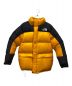 THE NORTH FACE (ザ ノース フェイス) HIM DOWN PARKA サミットゴールド サイズ:М：25000円