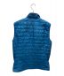 Patagonia (パタゴニア) NANO PUFF VEST ブルー サイズ:M：10000円