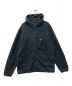 Patagonia（パタゴニア）の古着「Microdini Fleece Hoody　Patagonia　パタゴニア　フリース　アウトドア　26210」｜ネイビー