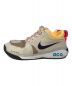 NIKE (ナイキ) NIKE ACG DOG MOUNTAIN エーシージー ドッグマウンテン サミット NIKE ナイキ  AQ0916-100 ベージュ サイズ:27：7000円