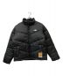 THE NORTH FACE（ザ ノース フェイス）の古着「SAIKURU JACKET」｜ブラック