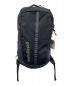 Patagonia（パタゴニア）の古着「BLACK HOLE PACK 25L」｜グレー