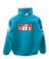 THE NORTH FACE (ザ ノース フェイス) Trans Antarctica Fleece Jacket スカイブルー サイズ:L：18000円