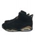 NIKE (ナイキ) Air Jordan 6 DMP 