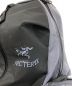 中古・古着 ARC'TERYX (アークテリクス) ARRO16 グレー：14800円