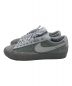 NIKE SB (ナイキエスビー) FPAR (エフピーエーアール) Blazer Low 