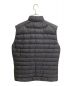 ARC'TERYX (アークテリクス) CERIUM LT VEST ブラック サイズ:L：27000円