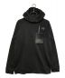 ARC'TERYX（アークテリクス）の古着「Stryka Hoody」｜ブラック