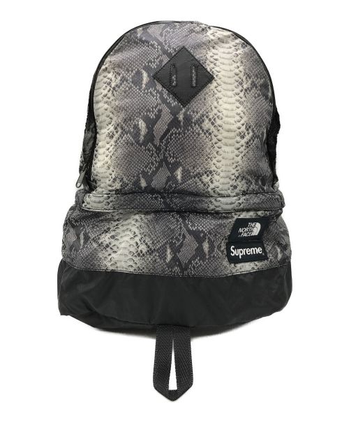 SUPREME（シュプリーム）SUPREME (シュプリーム) THE NORTH FACE (ザ ノース フェイス) Snakeskin Lightweight Day Pack グレーの古着・服飾アイテム