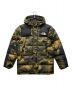 THE NORTH FACE（ザ ノース フェイス）の古着「DEPTFORD DOWN JACKET」｜カーキ