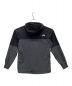 THE NORTH FACE (ザ ノース フェイス) Apex Flex Hoodie グレー サイズ:M：7000円