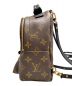 LOUIS VUITTON (ルイ ヴィトン) リュック ブラウン：200000円