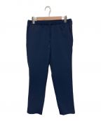 THE NORTH FACEザ ノース フェイス）の古着「Alpine Light Pant」｜ネイビー