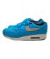 NIKE (ナイキ) NIKE AIR MAX 1 PRM BALTIC BLUE スカイブルー サイズ:27.5：6000円