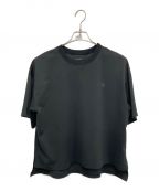 THE NORTH FACEザ ノース フェイス）の古着「S/S TECH LOUNGE T」｜グレー