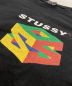 中古・古着 stussy (ステューシー) S64 PIGMENT DYED TEE ブラック サイズ:L：8000円