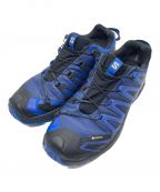 SALOMONサロモン）の古着「XA PRO 3D V9 GTX/トレイルランニングシューズ」｜ブルー