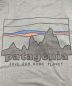 中古・古着 Patagonia (パタゴニア) キャプリーン・クール・デイリー・グラフィック・フーディ グリーン サイズ:SIZE M：7000円