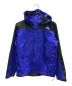 THE NORTH FACE（ザ ノース フェイス）の古着「RAINTEX PLASMA」｜ブルー×ブラック