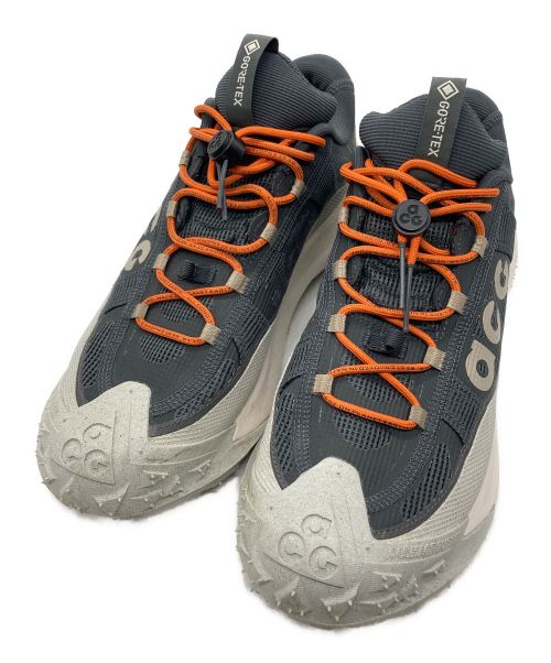 NIKE ACG（ナイキエージーシー）NIKE ACG (ナイキエージーシー) MOUNTAIN FLY 2 LOW GTX グレー サイズ:28の古着・服飾アイテム