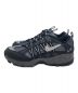 NIKE (ナイキ) Black and Metallic Silver ブラック サイズ:27.5：14800円