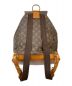 LOUIS VUITTON (ルイ ヴィトン) リュック ブラウン：60000円