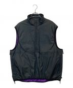 DAIWA PIER39ダイワ ピア39）の古着「TECH REVERSIBLE PULLOVER PUFF VEST RJ-21022W」｜グレー