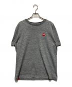 THE NORTH FACEザ ノース フェイス）の古着「Tシャツ」｜グレー