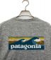 Patagoniaの古着・服飾アイテム：5000円