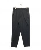 THE NORTH FACEザ ノース フェイス）の古着「Mountain Color Pant」｜グレー