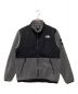 THE NORTH FACE（ザ ノース フェイス）の古着「Denali Jacket」｜グレー